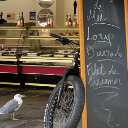 Nouvel été 