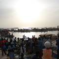 IMG 0517