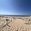 Mon chemin  de paradis....